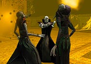 Neverwinter Nights: Der Paleguard